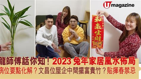 2023文昌位富貴竹|2023兔年文昌位 │ 一文看清6大文昌擺設、禁忌，包你。